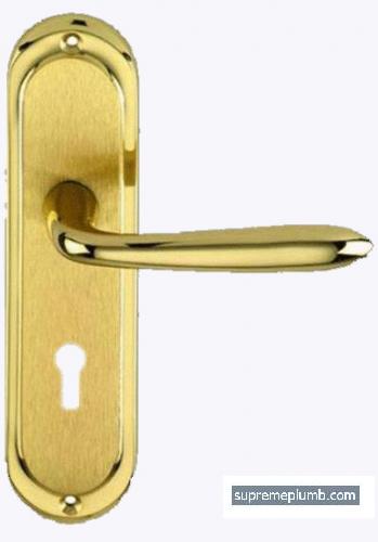 Versailles Lever Lock -  Polished Brass - Matt Brass  
